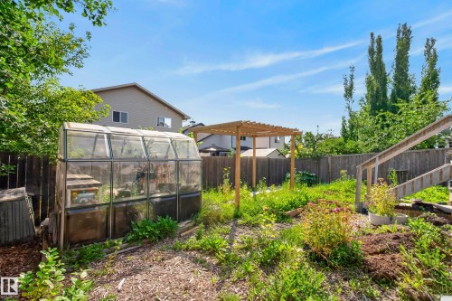 Greenhouse structure, wood privacy fencing, and a wood pergola frame - 15213 49A Street Nw, Edmonton, AB 