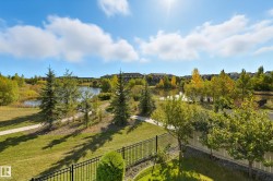 Expansive green space featuring a paved pathway, mature trees, and a tranquil pond - 