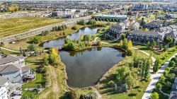 Community featuring a central pond system with a pedestrian bridge, surrounded by manicured green spaces and paved walking paths - 