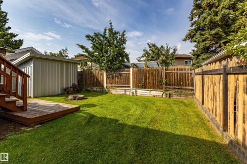Expansive lawn with a wood deck, wood privacy fencing, a metal storage shed, and raised garden beds - 7408 180 Street Nw, Edmonton, AB 