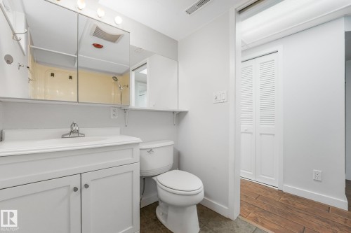 4812 Malmo Road Nw, Edmonton, AB - Indoor Photo Showing Bathroom