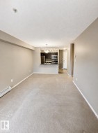Open concept living area with carpeting, a kitchen featuring dark wood-finish cabinetry, stainless steel appliances, and a breakfast bar - 
