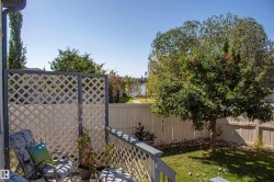 Private patio with trellis panels, leading to a landscaped yard featuring a mature tree, perimeter fencing, and a clear expanse of sky - 