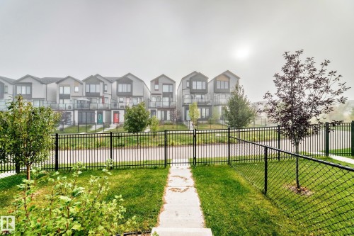 Manicured lawn with a concrete pathway and black metal fencing - 479 39 St Sw, Edmonton, AB 