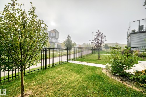 Landscaped yard with mature plantings, black metal fencing, and concrete pathway - 479 39 St Sw, Edmonton, AB 