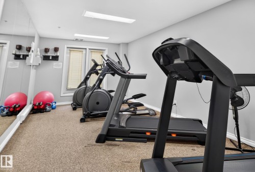Dedicated fitness space featuring carpet flooring and light gray wall paint - #335 2096 Blackmud Creek Dr Sw, Edmonton, AB - Indoor Photo Showing Gym Room