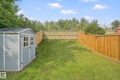 Expansive backyard featuring a manicured lawn, a gray storage shed with double doors and window details, and wood privacy fencing - 15618 141 Street Nw, Edmonton, AB 