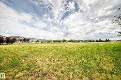 Expansive green space featuring mature trees and a residential backdrop - 