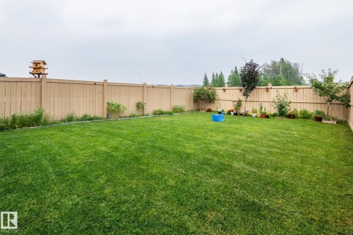 Expansive green lawn providing ample open space - 2131 51 Sw, Edmonton, AB - Outdoor With Backyard
