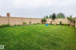 Expansive green lawn providing ample open space - 