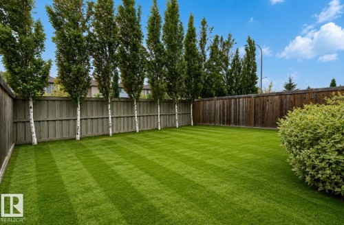 Expansive lawn area featuring striped grass, a surrounding wood fence, and a row of mature trees along one border - 79 Catalina Crest, Fort Saskatchewan, AB - Outdoor With Backyard