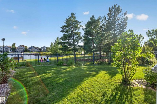 Expansive grassy yard with a black metal fence, mature trees, and a visible body of water - 1251 Summerside Drive Sw, Edmonton, AB 