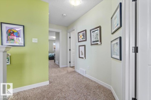Carpeted hallway with light green wall color and white trim - 11506 17 Avenue Sw, Edmonton, AB 