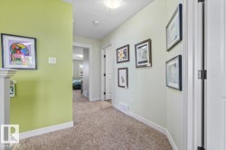 Carpeted hallway with light green wall color and white trim - 