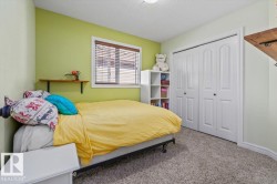 Carpeted flooring with light-toned wall paint and a built-in closet featuring bi-fold doors - 