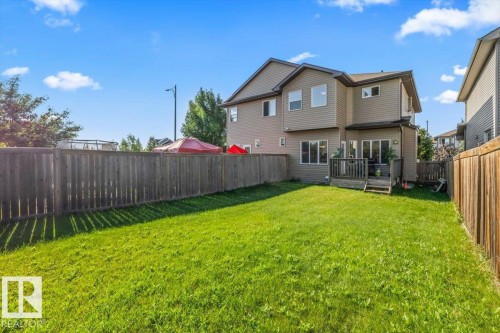Expansive grassy yard with a wood fence perimeter - 11506 17 Avenue Sw, Edmonton, AB 