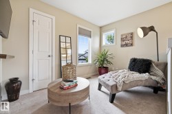 Warm neutral wall color, plush carpet flooring, multiple windows, and a built-in wall shelf - 