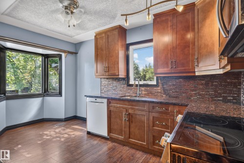 Wood-finish flooring, bay window, wood cabinetry, stone countertops, and tile backsplash - 13351 109A Avenue Nw, Edmonton, AB 