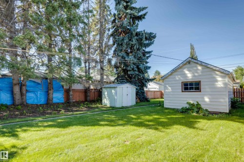 Expansive grassy yard featuring an outbuilding, mature evergreen trees, and a detached garage with wood siding - 10916 151 Street Nw, Edmonton, AB 