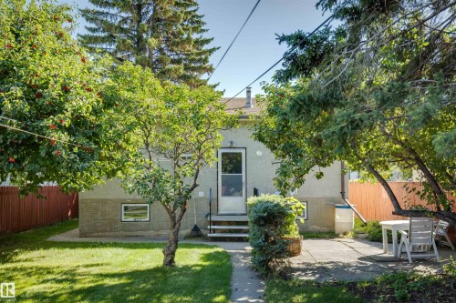 Lush green lawn with mature trees, a concrete patio area, and a red wood-panel fence - 10916 151 Street Nw, Edmonton, AB 