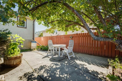 Concrete patio area with a privacy fence and mature tree providing canopy - 10916 151 Street Nw, Edmonton, AB 