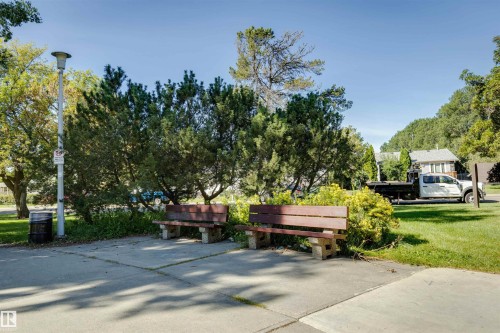 Mature landscaping with established trees provides natural shade throughout this recreational outdoor space - 10916 151 Street Nw, Edmonton, AB 