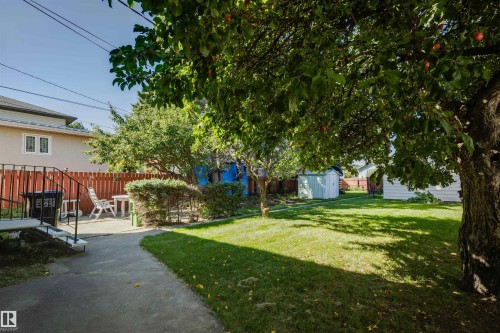 Expansive grassy yard with mature trees, a concrete patio, and a privacy fence - 10916 151 Street Nw, Edmonton, AB 