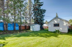 Expansive grassy yard featuring an outbuilding, mature evergreen trees, and a detached garage with wood siding - 