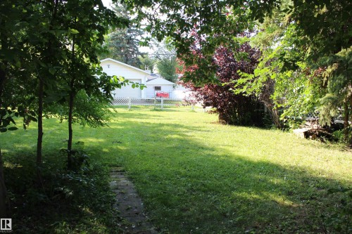 Expansive lawn area with mature trees providing partial shade - 4406 49A Street, Vegreville, AB 