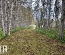 TWP RD 630 Range Road 455  Rural Bonnyville M.D., AB T9N 2H5