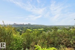 Expansive natural landscape with lush greenery and distant city structures - 