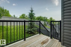 Backyard deck - 