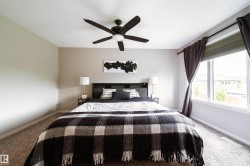 Neutral-toned walls, ceiling fan with integrated lighting, expansive window with roller shade, and textured carpeting - 