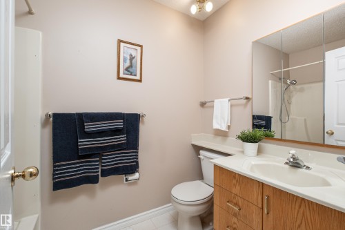 2408 115 Street Nw, Edmonton, AB - Indoor Photo Showing Bathroom