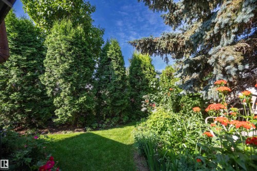 Manicured lawn area featuring mature evergreen trees, diverse plantings, and established garden beds - 11007 108 Avenue, Westlock, AB 