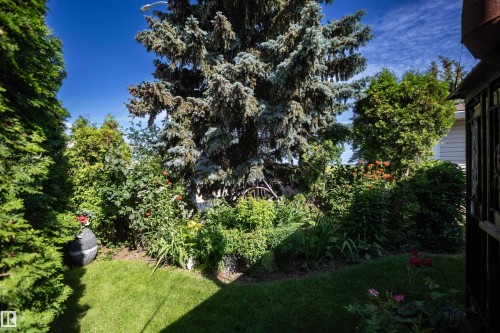 Manicured lawn with diverse plantings and mature trees - 11007 108 Avenue, Westlock, AB 