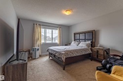 Carpeted bedroom featuring a large window with white trim, light gray walls, and a ceiling-mounted light fixture - 