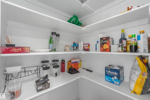 Expansive pantry with multiple white built-in shelving units - 6453 177A Avenue Nw, Edmonton, AB 