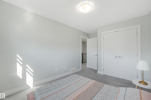 Carpeted flooring, light gray wall paint, white trim, white doors, and a ceiling-mounted light fixture - 6453 177A Avenue Nw, Edmonton, AB 