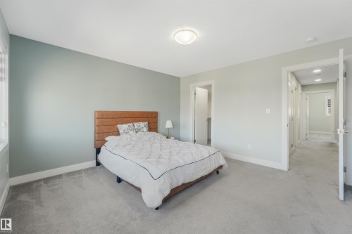 Soft gray carpeting, light wall colors, white trim, and a flush mount ceiling light fixture - 6453 177A Avenue Nw, Edmonton, AB 