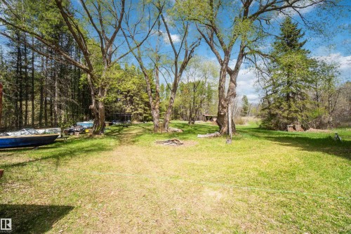 Expansive grassy area featuring mature deciduous trees and a dense evergreen tree line in the background - 910 Hermitage Avenue, Rural Parkland County, AB - Outdoor With View