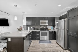 Contemporary kitchen featuring dark cabinetry, stainless steel appliances, light-toned countertops, and wood-finish flooring - 