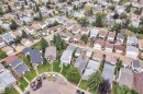 Mature tree providing natural shade, concrete driveway, concrete sidewalk, chain link fence, and brick landscaping - 442 Kirkpatrick Crescent Nw, Edmonton, AB 