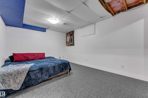 Additional content - 442 Kirkpatrick Crescent Nw, Edmonton, AB 