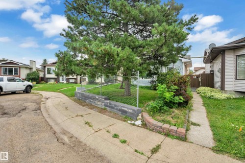 Bay window, covered entryway, concrete front steps, chain-link fence, and mature trees - 442 Kirkpatrick Crescent Nw, Edmonton, AB 