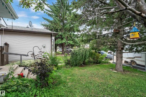 Expansive yard with mature trees, manicured lawn, and lush landscaping - 442 Kirkpatrick Crescent Nw, Edmonton, AB 