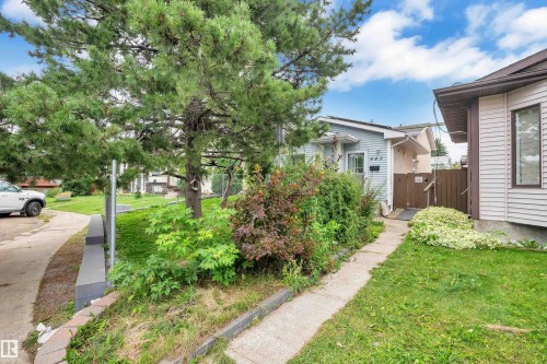 Paved driveway, mature tree, concrete walkway, and wood fencing - 442 Kirkpatrick Crescent Nw, Edmonton, AB 