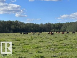 Hwy 18 Rg Rd 233   Rural Westlock County, AB T0G 0P0