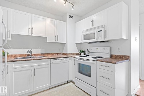 #808 9710 105 St Nw, Edmonton, AB - Indoor Photo Showing Kitchen With Double Sink