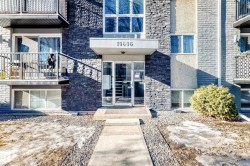 Building entrance with stone facade detailing, glass double doors, and a concrete pathway - 